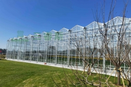Venlo Greenhouse